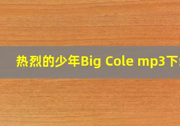 热烈的少年Big Cole mp3下载